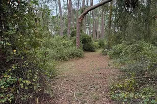 15518 State Road 19, Groveland, FL 34736 - Photo 19