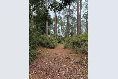 15518 State Road 19, Groveland, FL 34736 - Photo 7