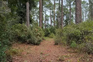 15518 State Road 19, Groveland, FL 34736 - Photo 7