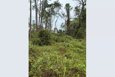 15518 State Road 19, Groveland, FL 34736 - Photo 11