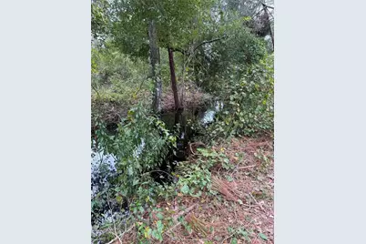 15518 State Road 19, Groveland, FL 34736 - Photo 5