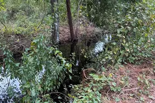 15518 State Road 19, Groveland, FL 34736 - Photo 5