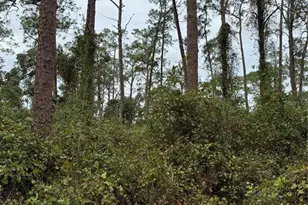 15518 State Road 19, Groveland, FL 34736 - Photo 13