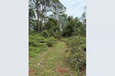 15518 State Road 19, Groveland, FL 34736 - Photo 9