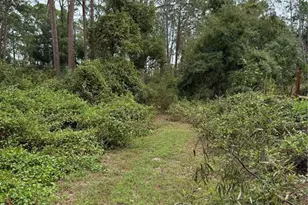 15518 State Road 19, Groveland, FL 34736 - Photo 9