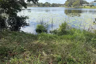 Luana Dr, Leesburg, FL 34788 - Photo 1