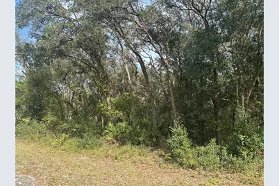 9114 Realstone Drive, Ridge Manor Estates, FL 33597 - Photo 1