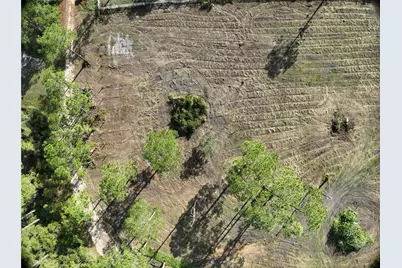 5642 Goff Island Road, Groveland, FL 34736 - Photo 11