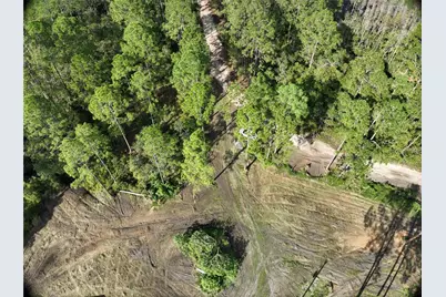 5642 Goff Island Road, Groveland, FL 34736 - Photo 5