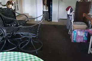 27945 Veva Ave, Paisley, FL 32767 - Photo 15