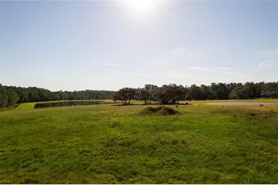 38361 Lake Meadow Court, Umatilla, FL 32784 - Photo 3