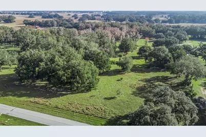 Tract 3 - Cr 221, Wildwood, FL 34785 - Photo 15
