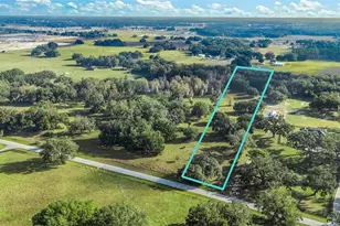 Cr 221, Wildwood, FL 34785 - Photo 1