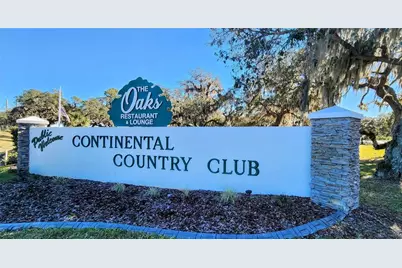 22 Big Oak Lane, Wildwood, FL 34785 - Photo 31