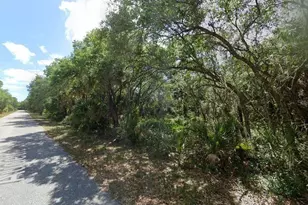 3407 Audette St, Port Charlotte, FL 33948 - Photo 1