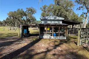 2403 County Rd 416 N, Lake Panasoffkee, FL 33538 - Photo 87