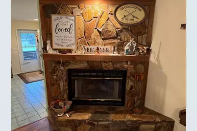 2403 County Road 416N, Lake Panasoffkee, FL 33538 - Photo 17