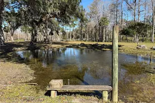 2403 County Rd 416 N, Lake Panasoffkee, FL 33538 - Photo 97