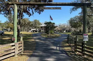 2403 County Rd 416 N, Lake Panasoffkee, FL 33538 - Photo 11