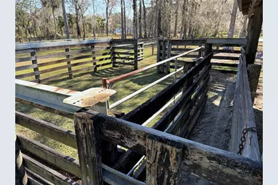 2403 County Road 416N, Lake Panasoffkee, FL 33538 - Photo 91