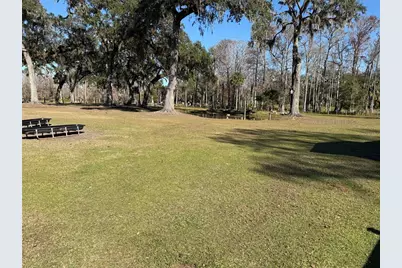 2403 County Road 416N, Lake Panasoffkee, FL 33538 - Photo 99