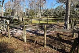 2403 County Rd 416 N, Lake Panasoffkee, FL 33538 - Photo 93