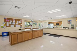 1026 Capella Dr, Tavares, FL 32778 - Photo 49