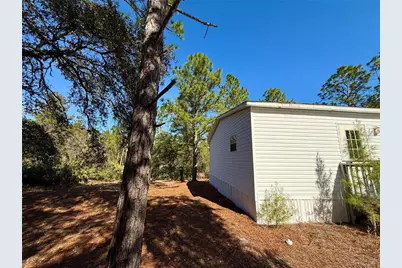 40001 Maggie Jones Road, Paisley, FL 32767 - Photo 11