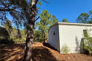 40001 Maggie Jones Rd, Paisley, FL 32767 - Photo 11