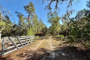 40001 Maggie Jones Rd, Paisley, FL 32767 - Photo 7