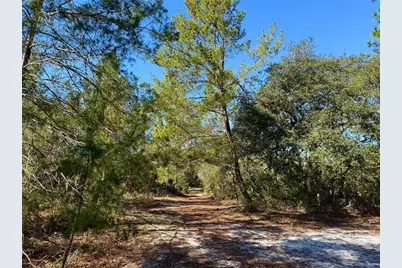 40001 Maggie Jones Road, Paisley, FL 32767 - Photo 3
