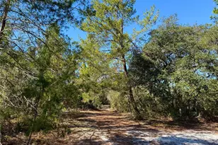 40001 Maggie Jones Rd, Paisley, FL 32767 - Photo 3