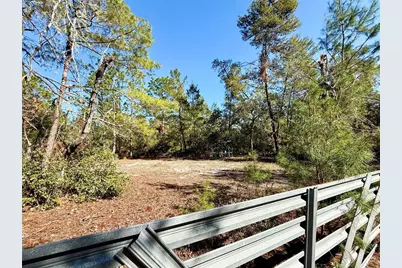 40001 Maggie Jones Road, Paisley, FL 32767 - Photo 7