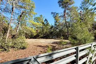 40001 Maggie Jones Rd, Paisley, FL 32767 - Photo 7
