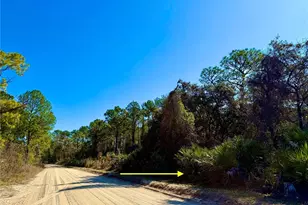 40001 Maggie Jones Rd, Paisley, FL 32767 - Photo 45