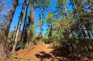 40001 Maggie Jones Rd, Paisley, FL 32767 - Photo 3