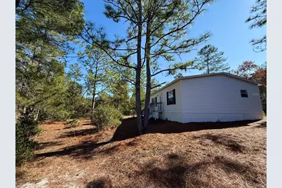 40001 Maggie Jones Road, Paisley, FL 32767 - Photo 13