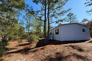 40001 Maggie Jones Rd, Paisley, FL 32767 - Photo 13