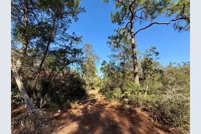 40001 Maggie Jones Road, Paisley, FL 32767 - Photo 55