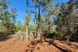 40001 Maggie Jones Rd, Paisley, FL 32767 - Photo 57