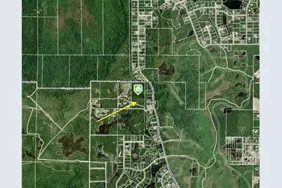 40001 Maggie Jones Road, Paisley, FL 32767 - Photo 17