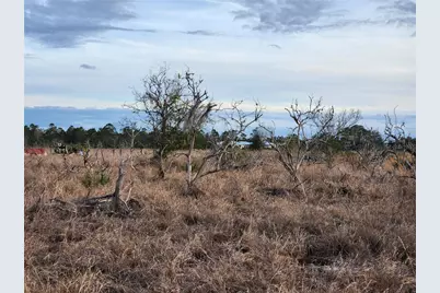 W Frostproof Road #Lot 11, Frostproof, FL 33843 - Photo 25