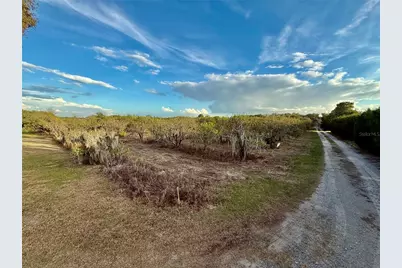 Se 165th Avenue, Weirsdale, FL 32195 - Photo 3