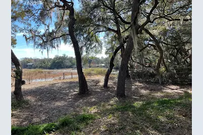 24070 NE 152nd Lane, Salt Springs, FL 32134 - Photo 33