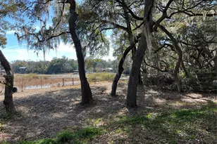 24070 NE 152nd Ln, Salt Springs, FL 32134 - Photo 33