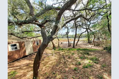 24070 NE 152nd Lane, Salt Springs, FL 32134 - Photo 31