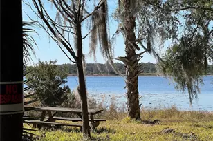 24070 NE 152nd Ln, Salt Springs, FL 32134 - Photo 35