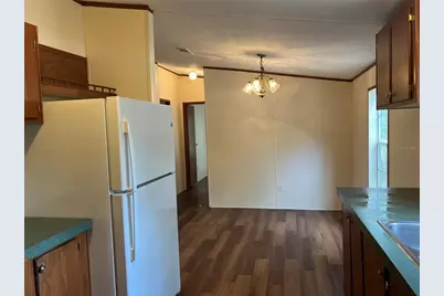 24070 NE 152nd Lane, Salt Springs, FL 32134 - Photo 11