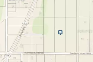 14169 SE 162nd Pl, Weirsdale, FL 32195 - Photo 3