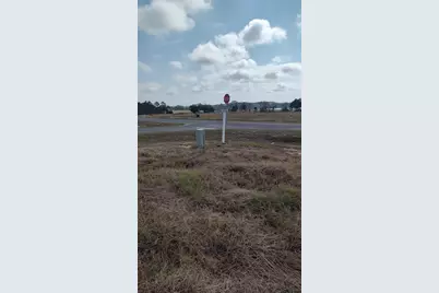 38401 Wooded Meadow Drive, Umatilla, FL 32784 - Photo 11